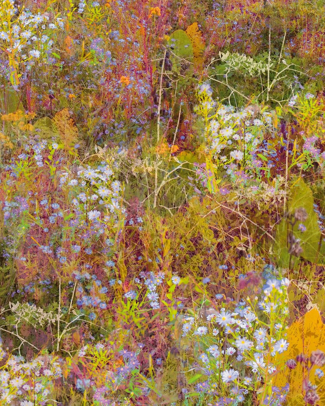 Thumbnail of www-instagram-com-p-dtdl721d9n0-img-index-2 0