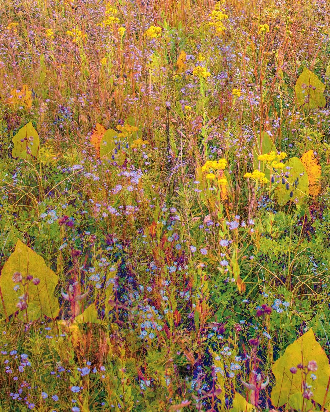 Thumbnail of www-instagram-com-p-dtdl721d9n0-img-index-2 1