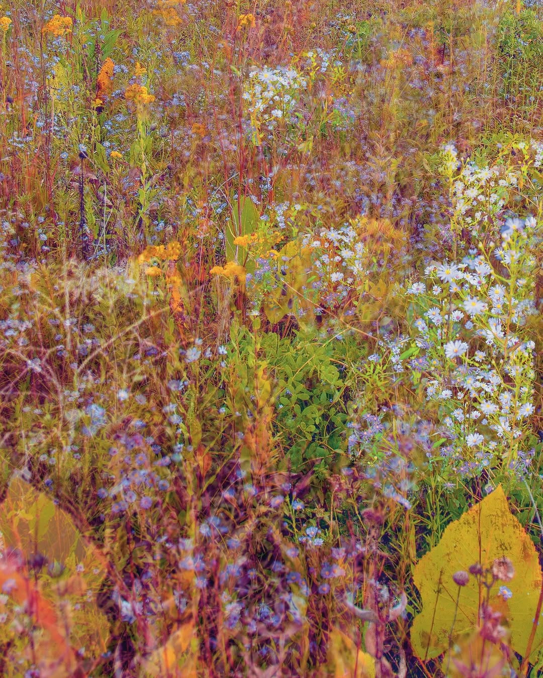 Thumbnail of www-instagram-com-p-dtdl721d9n0-img-index-2 2