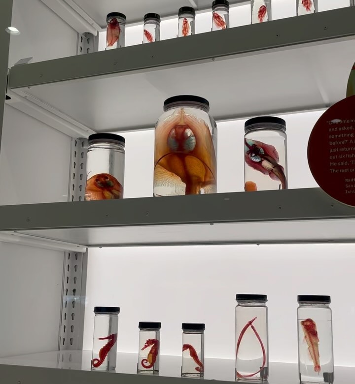 Thumbnail of p-c33a1z4rswl-00ee4e83f0354a1f 7