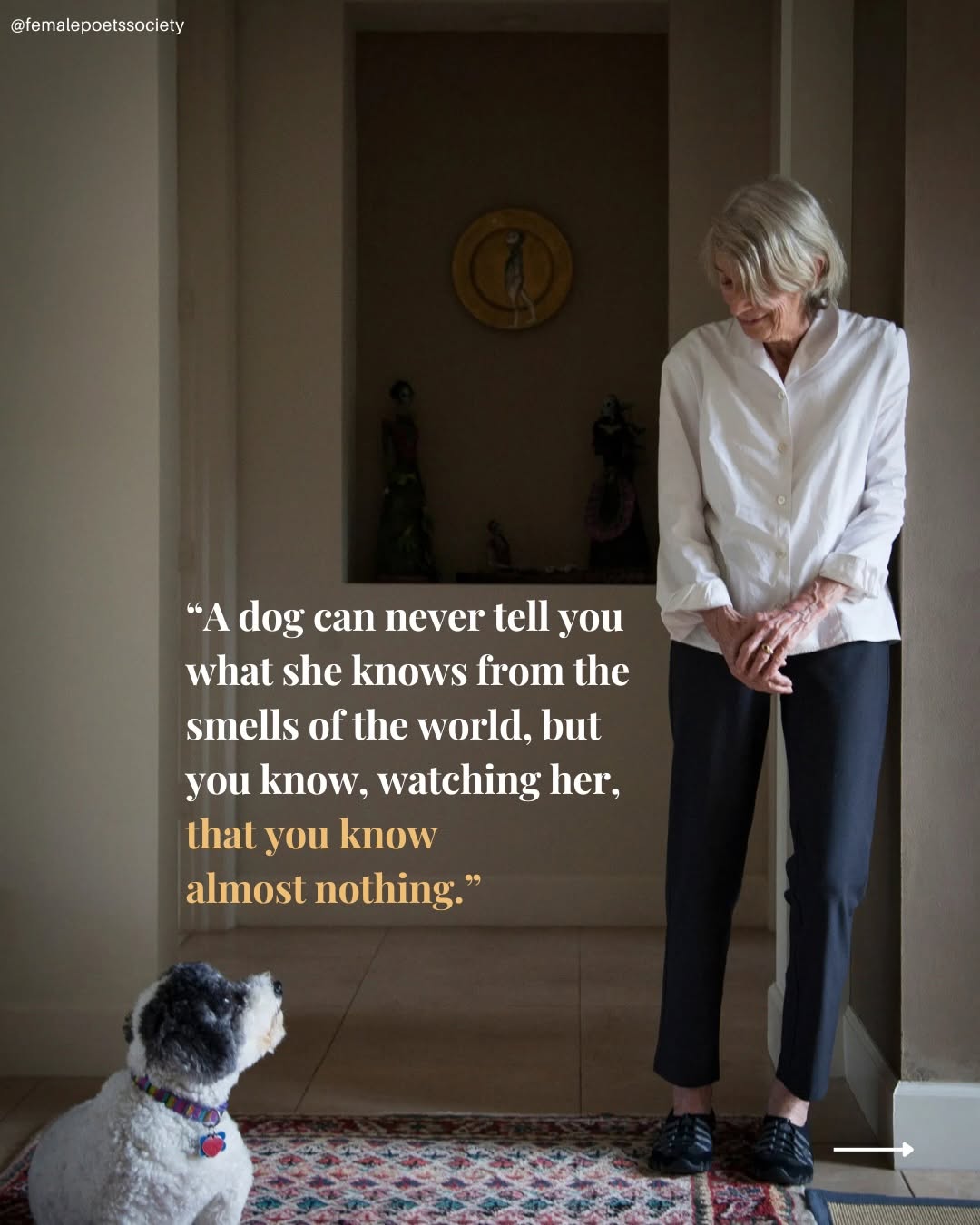 Thumbnail of instagram-01468f38169f4878 4