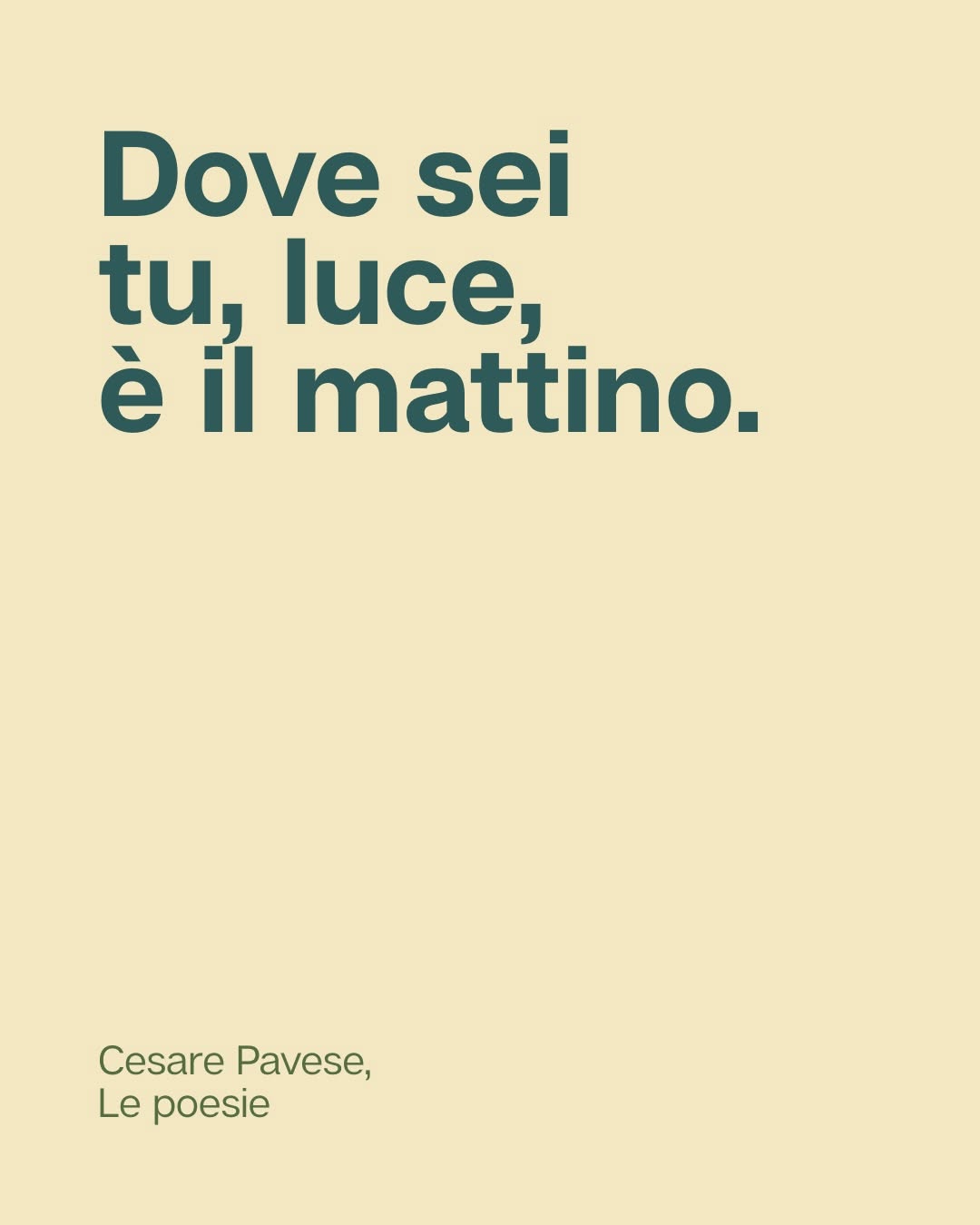 Thumbnail of www-instagram-com-p-drzym5fcvd5-img-index-4 7