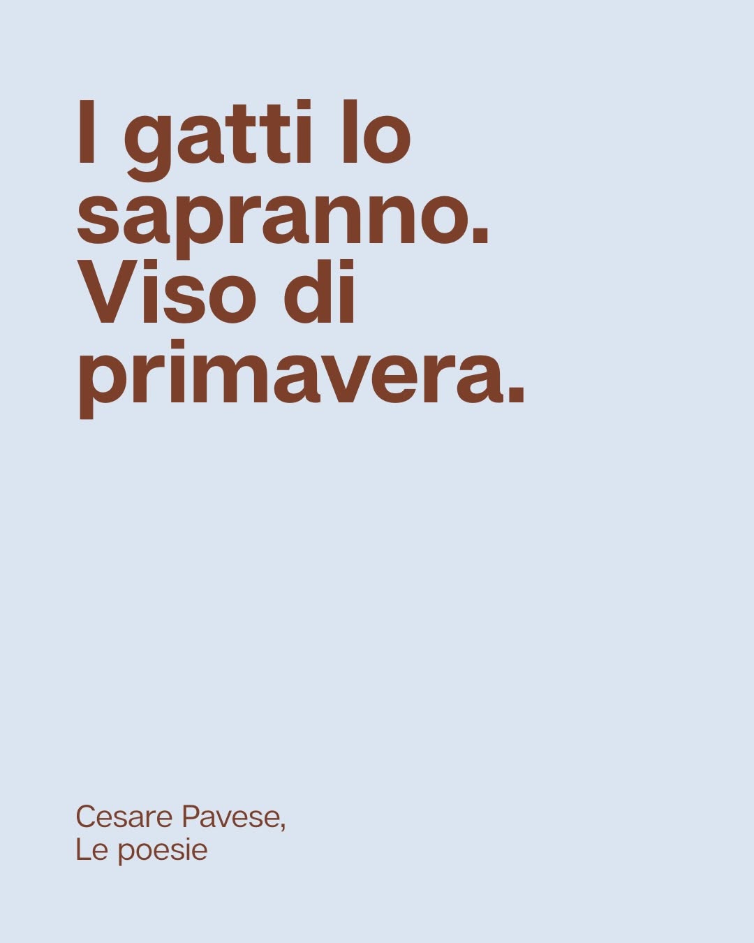 Thumbnail of www-instagram-com-p-drzym5fcvd5-img-index-4 9