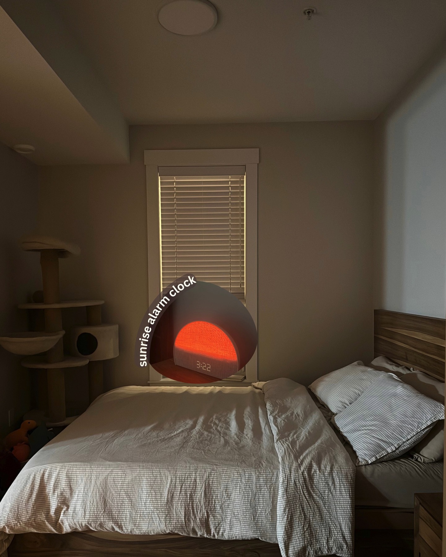 Thumbnail of p-djii1l4hamq-03d9ca1449c94b23 3