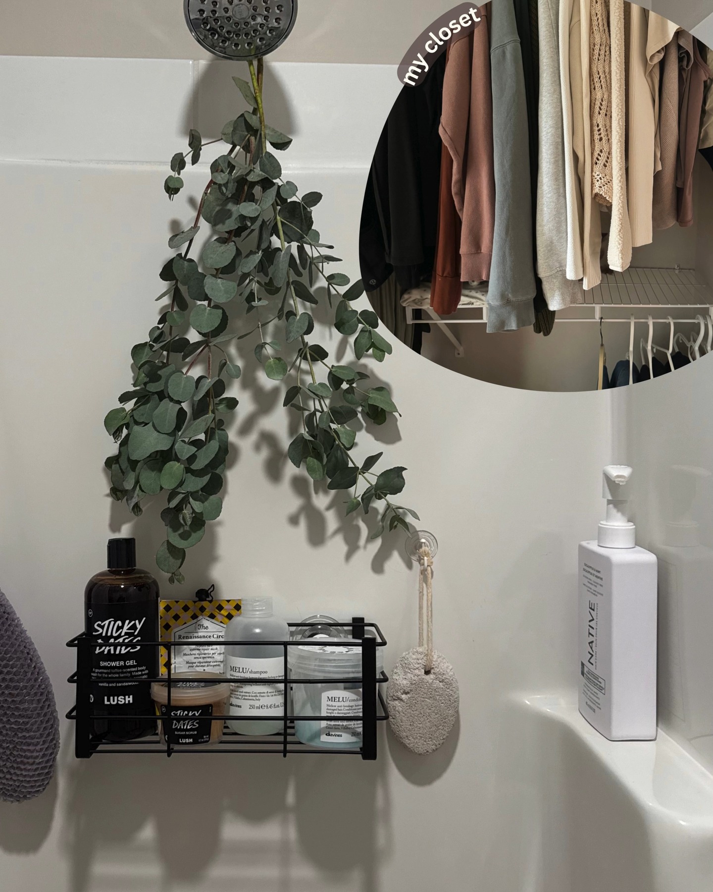 Thumbnail of p-djii1l4hamq-03d9ca1449c94b23 6