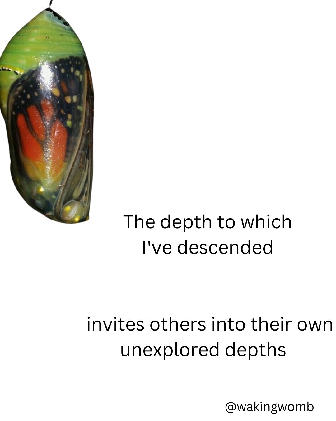 Thumbnail of p-dje1usgx3so-0424997f5c9a447a 3