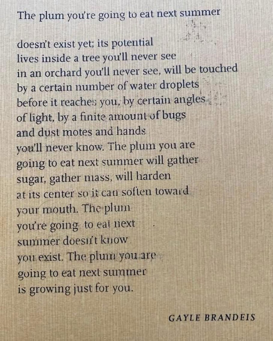 Thumbnail of www-instagram-com-p-dshpsjcdmt-e-3c70a72b-e381-404f-8512-0506441b3a28-g-5 0