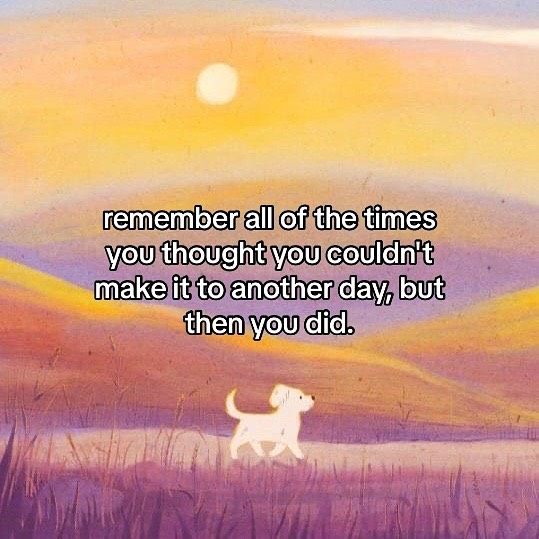 Thumbnail of c0xr-tnicnc-064720d3069e41f1 5