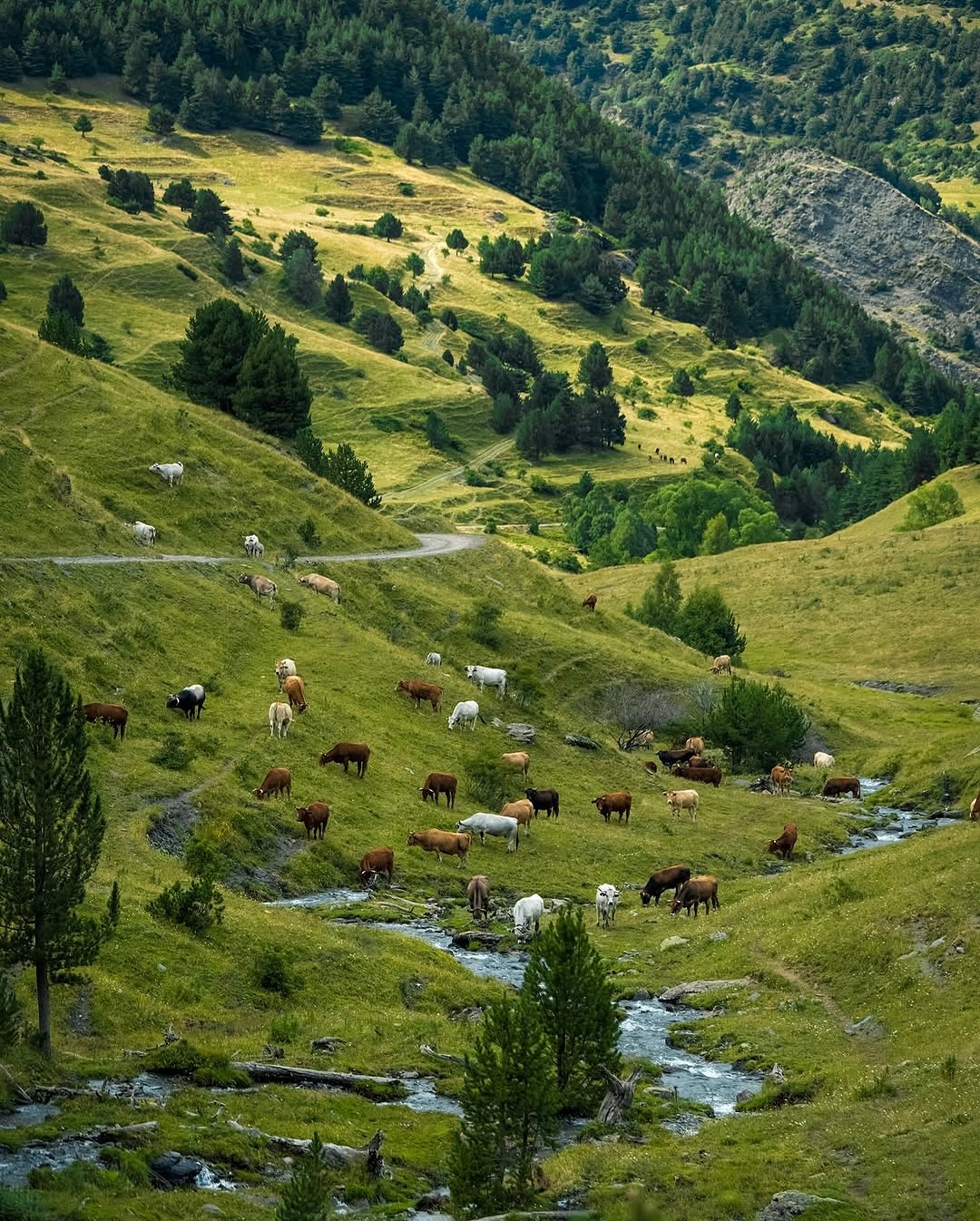 Thumbnail of p-dnrmf06hwmw-08317fb048d24ba2 8