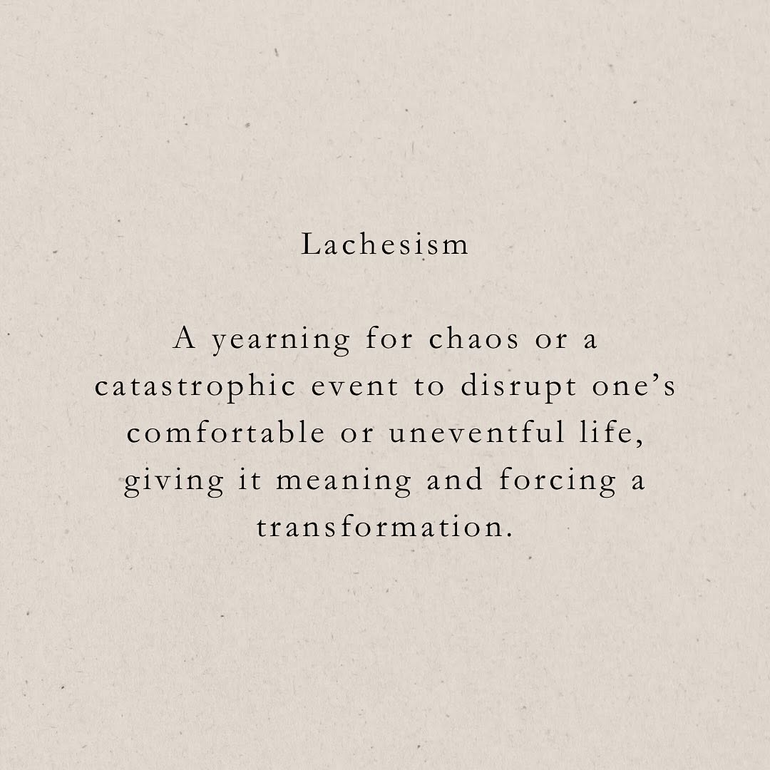 Thumbnail of www-instagram-com-p-do6u9foccng-img-index-13 4