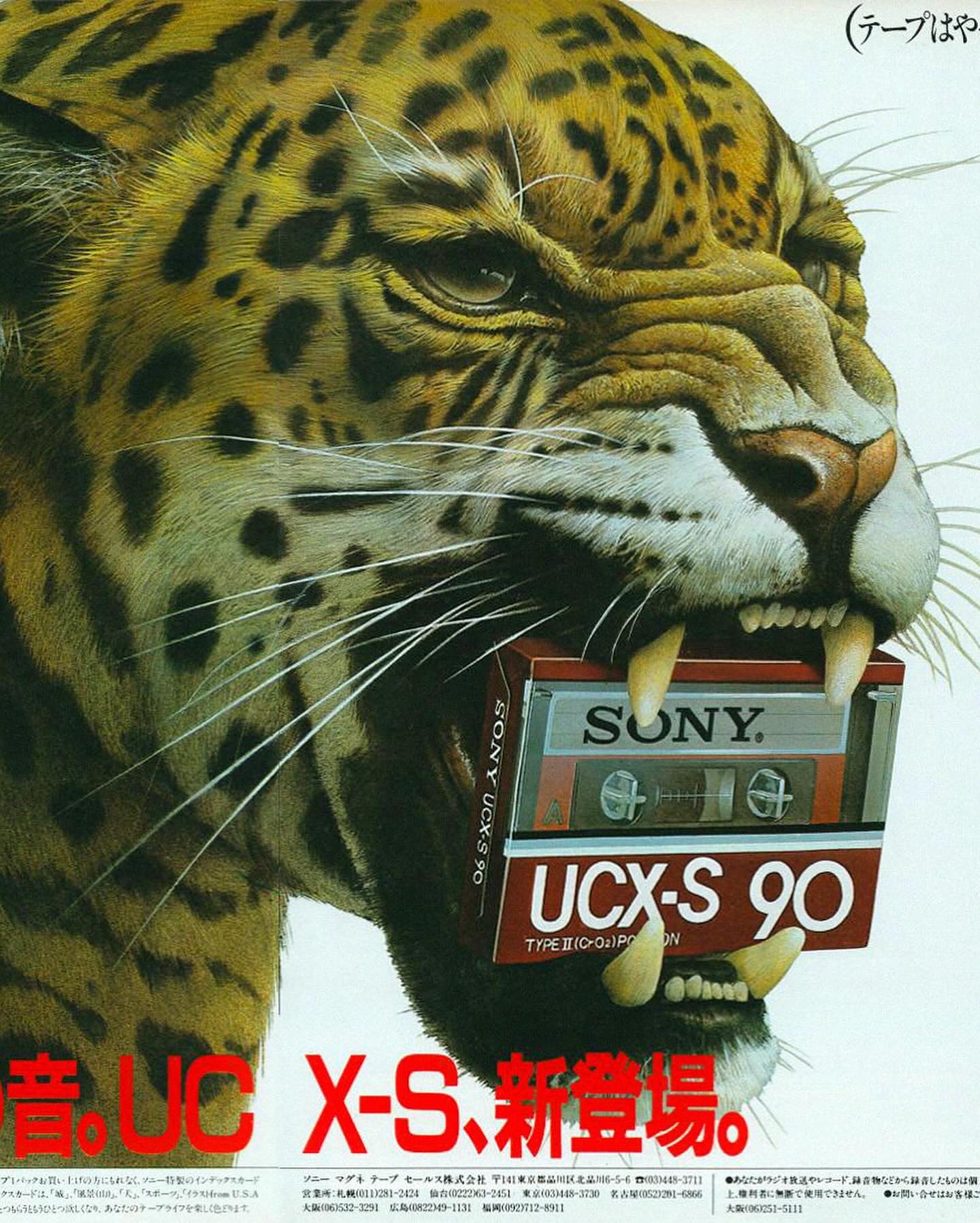 Thumbnail of p-ddquoatprrp-086cf2e2a36c4a37 6