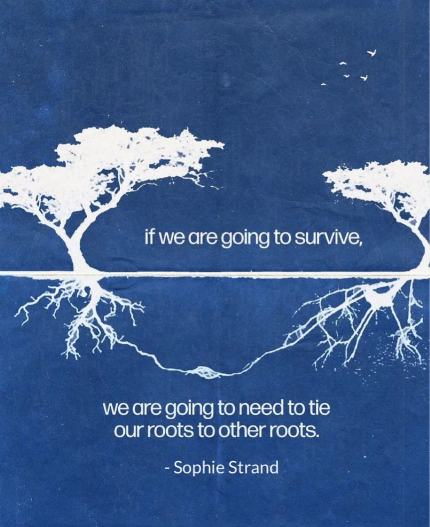 Thumbnail of p-db9o2adxkry-0985afd6cd6343d2 0