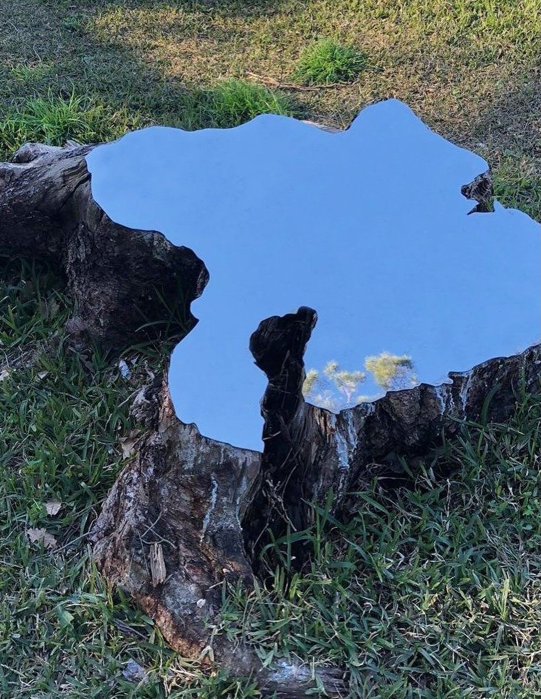 Thumbnail of www-instagram-com-p-dqpsh5bdctr-hl-en-img-index-1 1