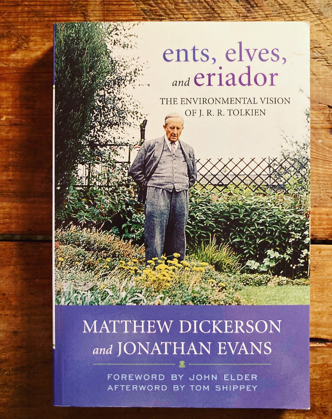 Thumbnail of p-cye364ffbel-0b9d690ad88d4d02 0