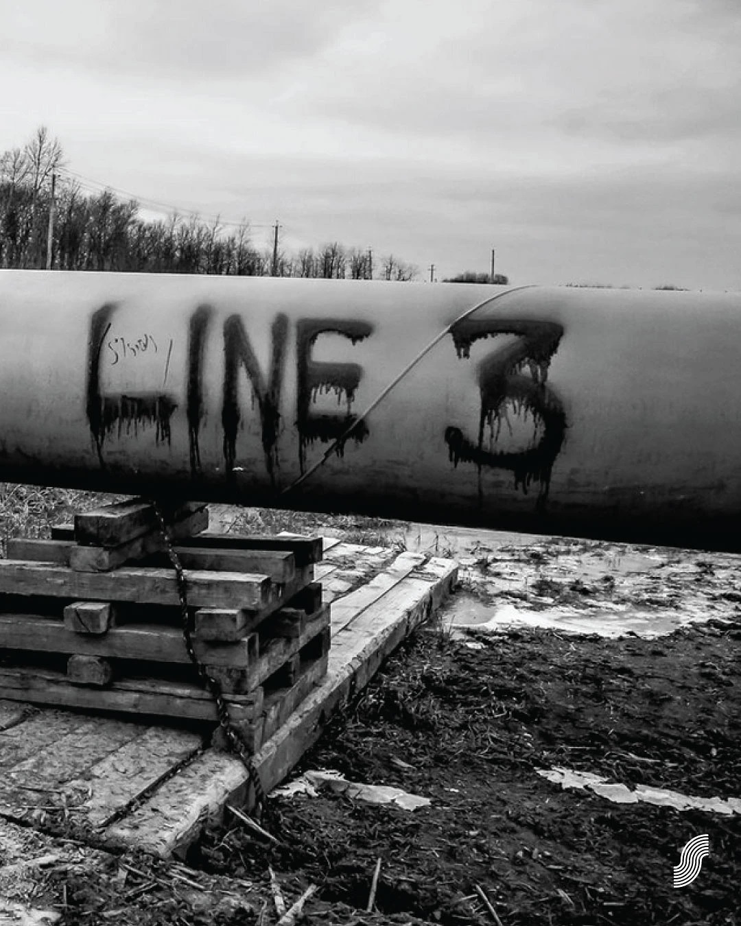 Thumbnail of p-cszpxgcr26z-0c2c82ac6db04d1a 3