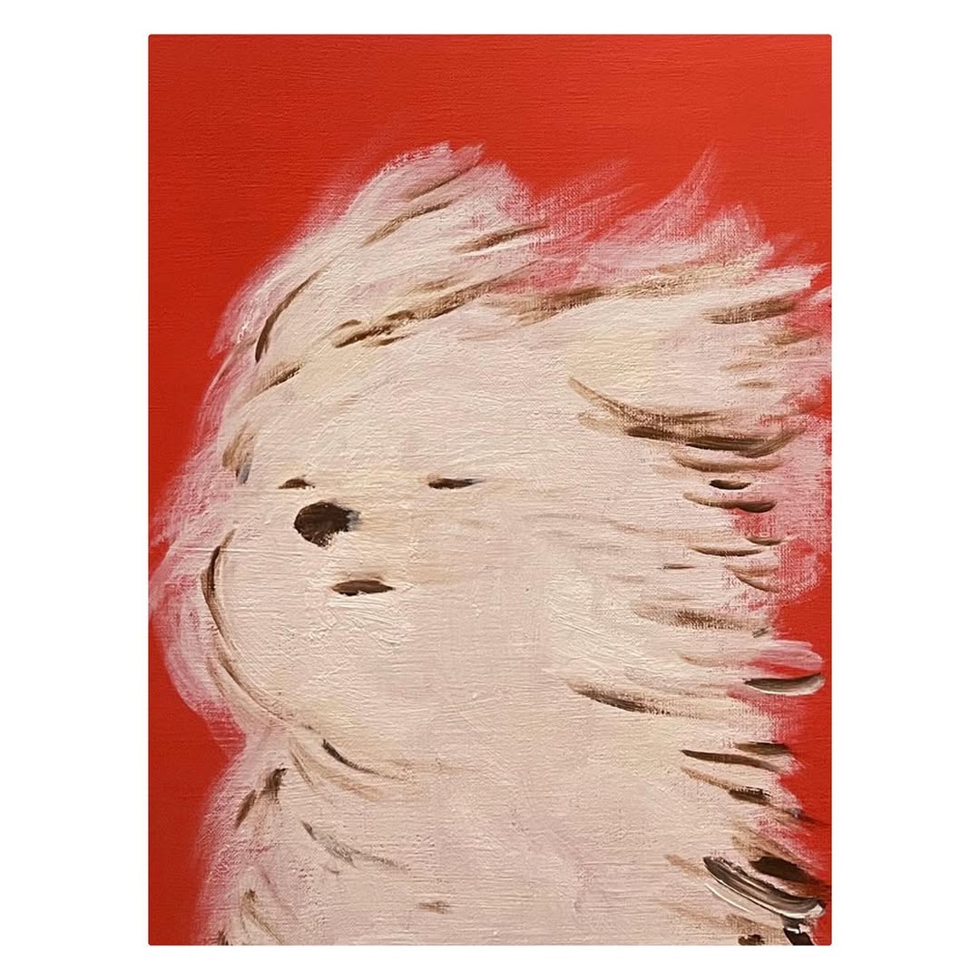 Thumbnail of www-instagram-com-p-cyawlihjfws 3