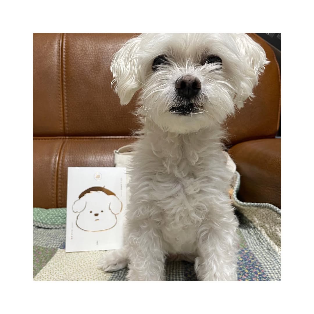 Thumbnail of www-instagram-com-p-cyawlihjfws 5