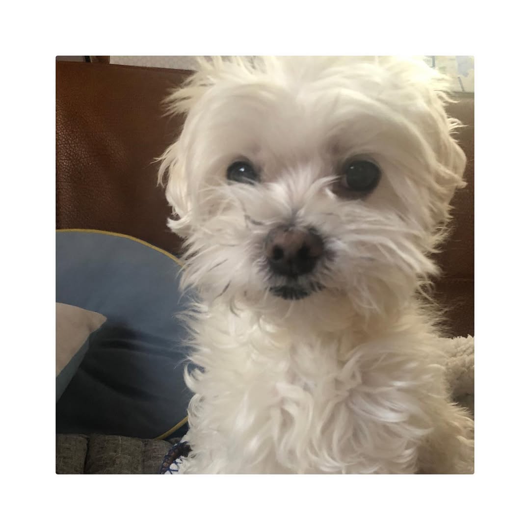 Thumbnail of www-instagram-com-p-cyawlihjfws 8