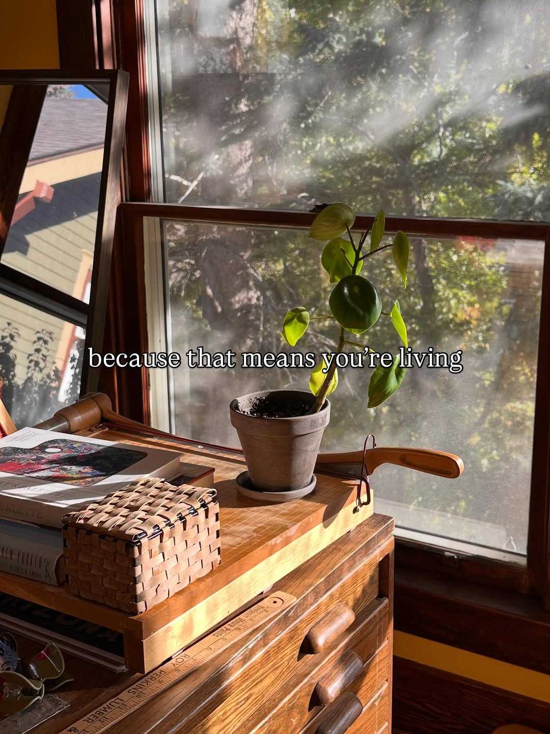 Thumbnail of www-instagram-com-p-drkqrrjjz9d 15