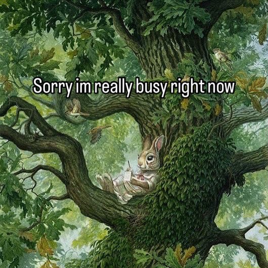 Thumbnail of df87bwerc-n-0e0a5b03695948e7 1