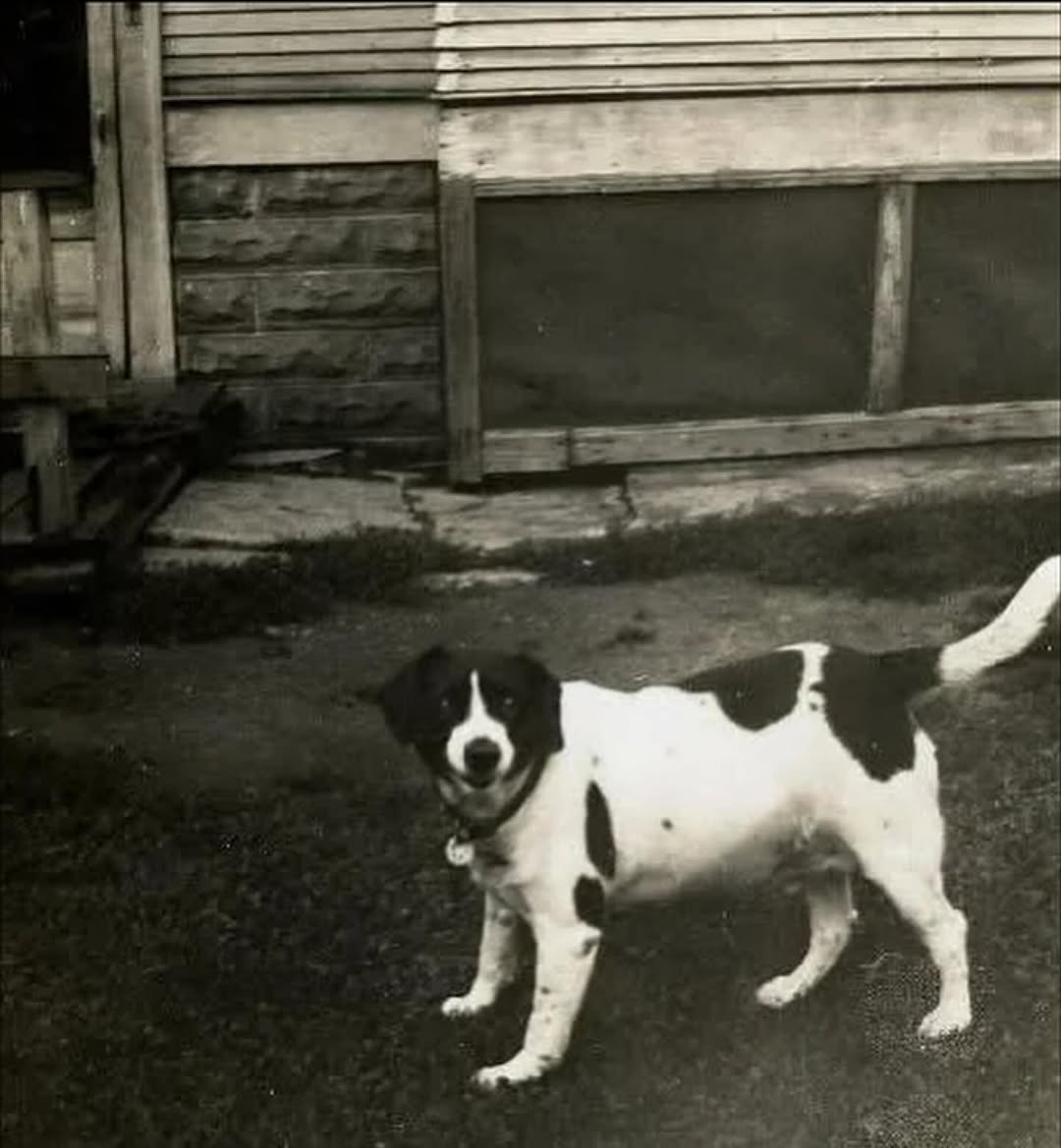 Thumbnail of www-instagram-com-p-dqzv3madx-p 1