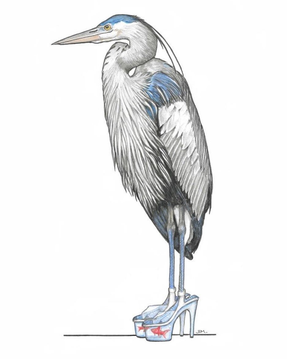 Thumbnail of www-instagram-com-p-c3dpucsxoxp 0