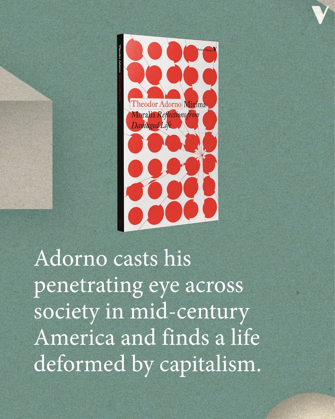 Thumbnail of www-instagram-com-p-dwwfis2ookf-img-index-2 3