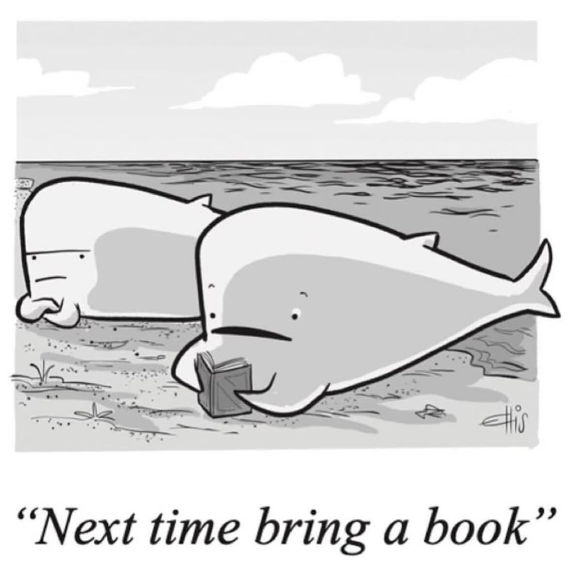 Thumbnail of p-dmvcsbvswu5-1090a18bb40f468d 5