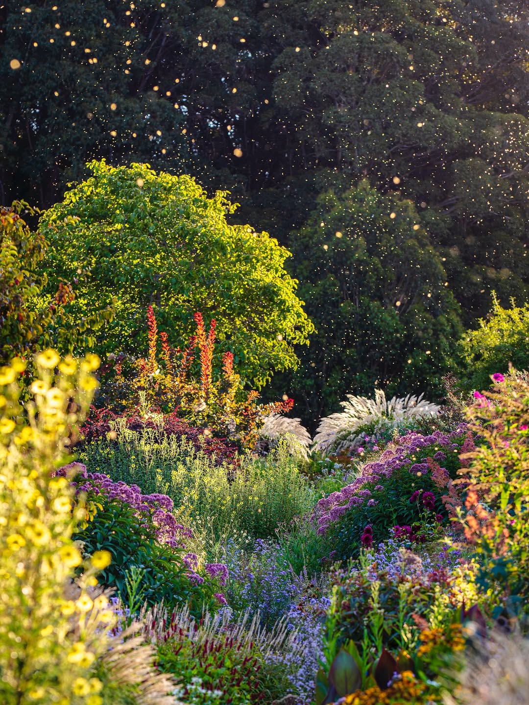 Thumbnail of www-instagram-com-p-drted3sk-pd-img-index-12 0