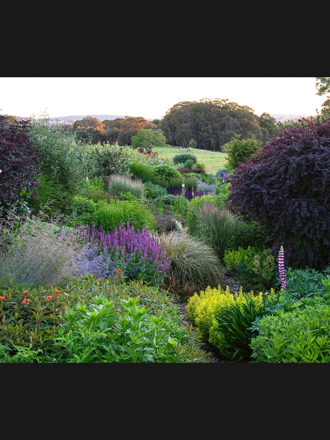 Thumbnail of www-instagram-com-p-drted3sk-pd-img-index-12 10