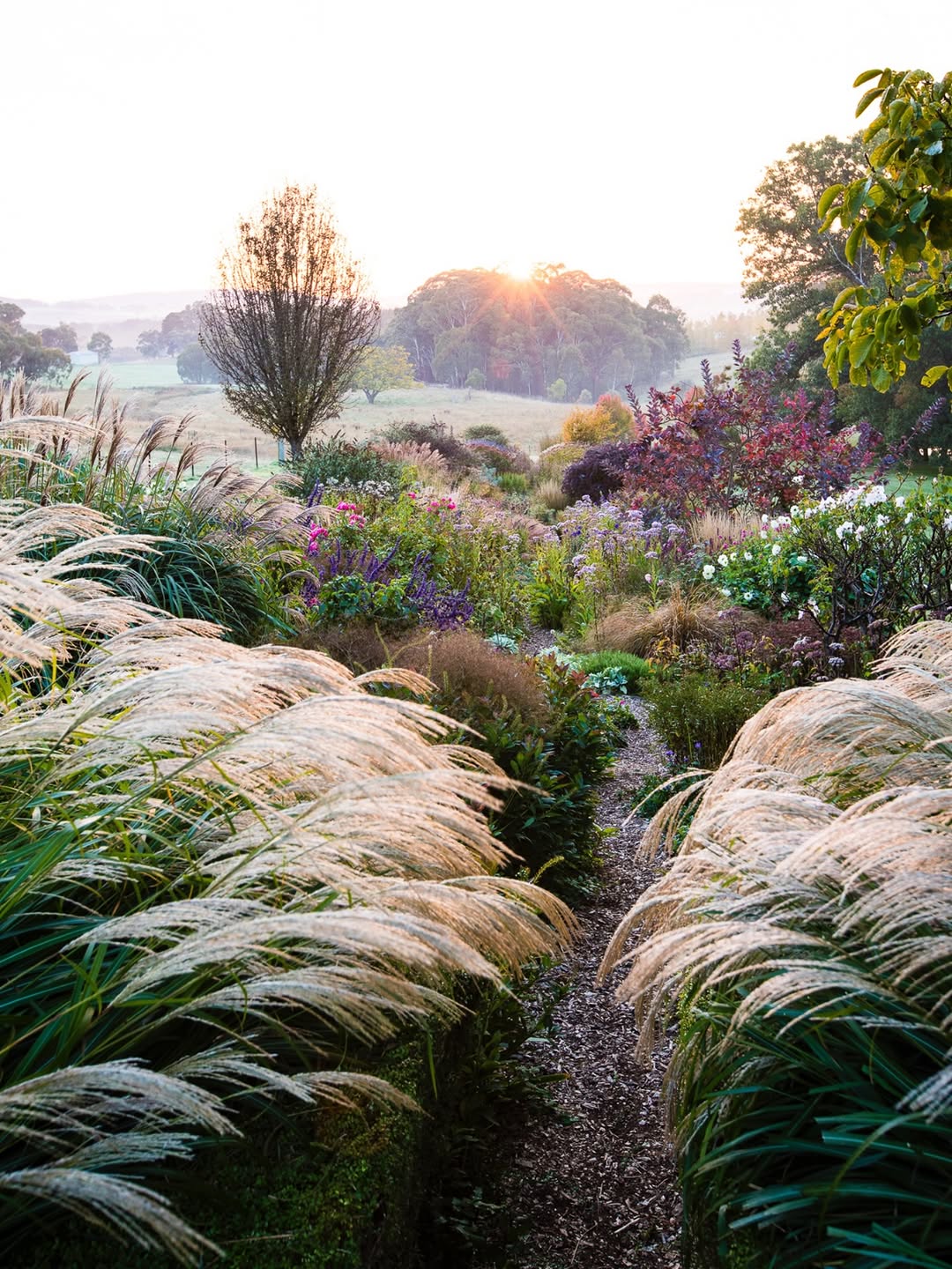 Thumbnail of www-instagram-com-p-drted3sk-pd-img-index-12 2