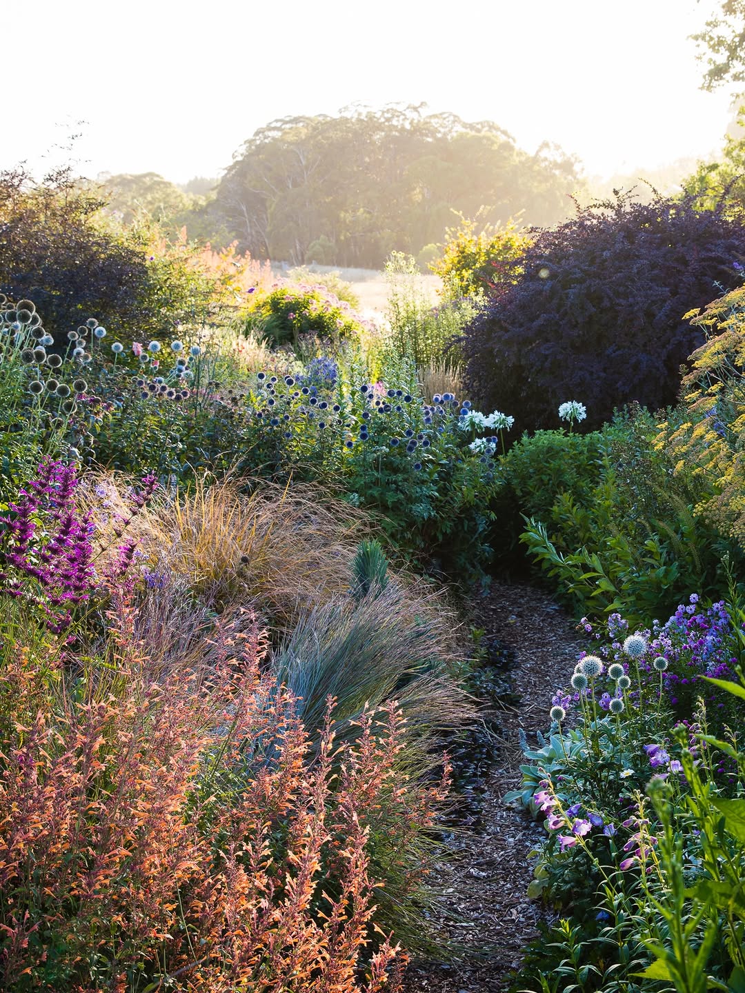 Thumbnail of www-instagram-com-p-drted3sk-pd-img-index-12 4