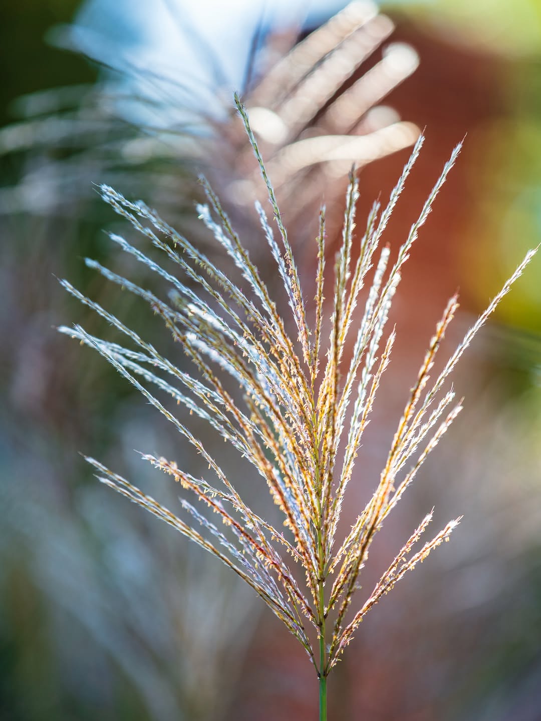 Thumbnail of www-instagram-com-p-drted3sk-pd-img-index-12 5