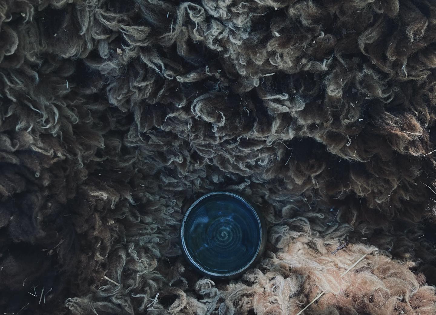 Thumbnail of p-dli0glyzbmo-145713e25c854c72 1