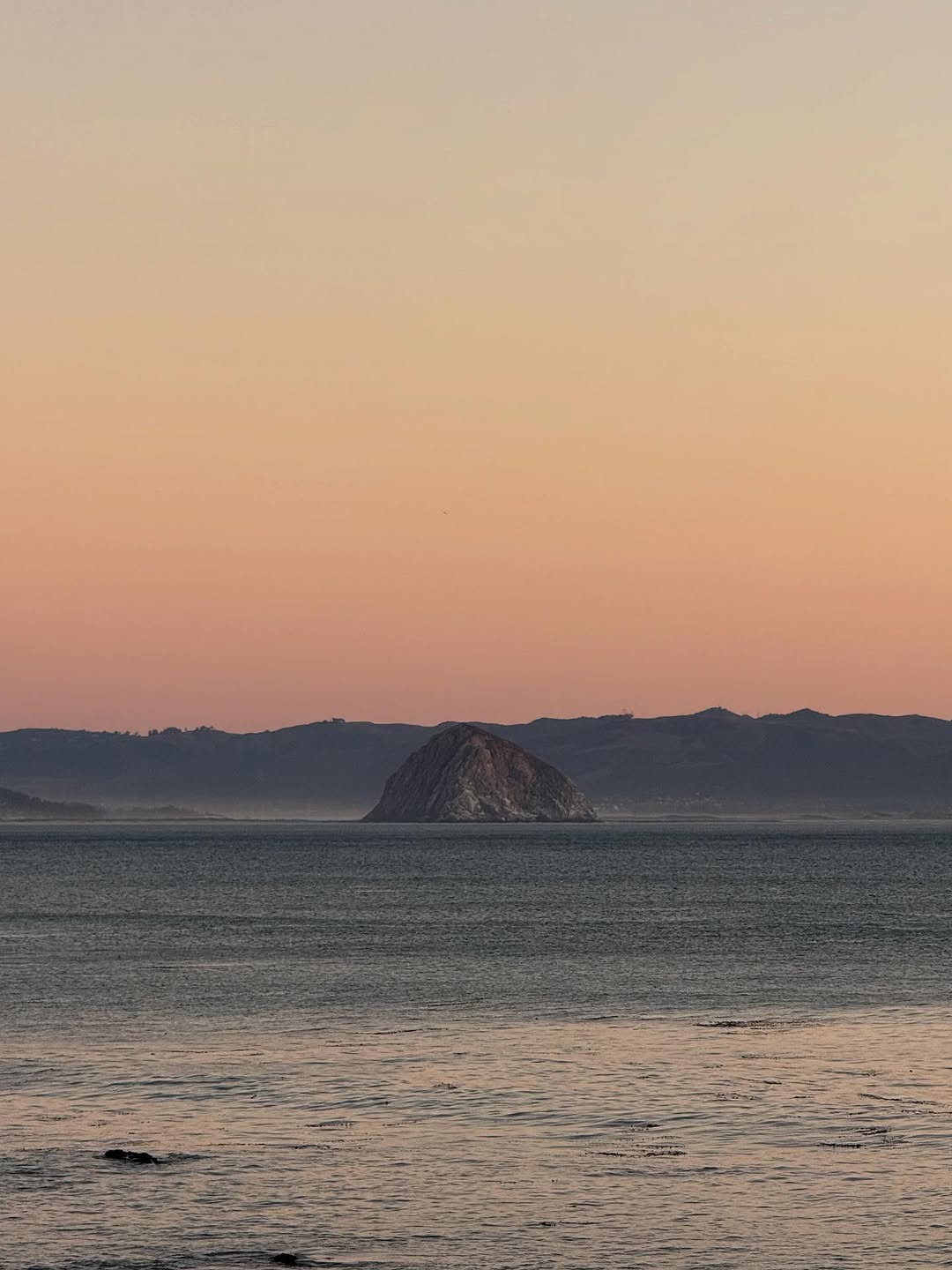 Thumbnail of www-instagram-com-p-dqfm-ovkswy-img-index-1 5