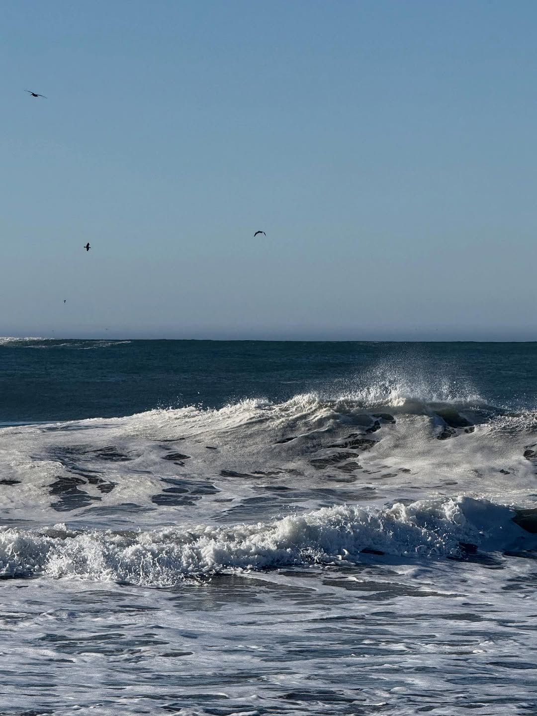 Thumbnail of www-instagram-com-p-dqfm-ovkswy-img-index-1 7