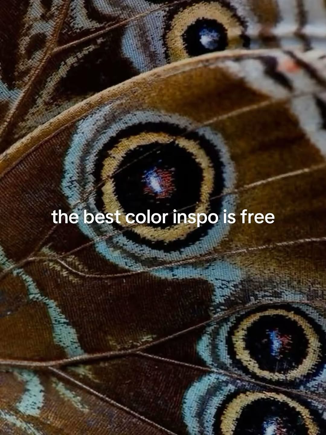 Thumbnail of www-instagram-com-p-dpqugpidfwc 0