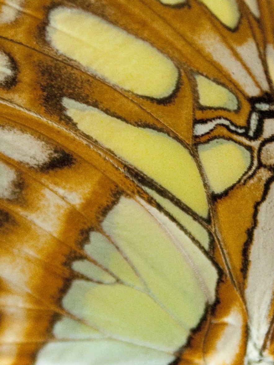 Thumbnail of www-instagram-com-p-dpqugpidfwc 1