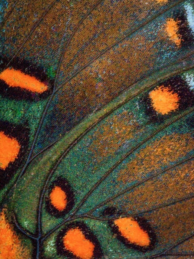 Thumbnail of www-instagram-com-p-dpqugpidfwc 2