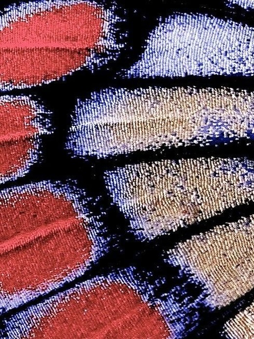 Thumbnail of www-instagram-com-p-dpqugpidfwc 3