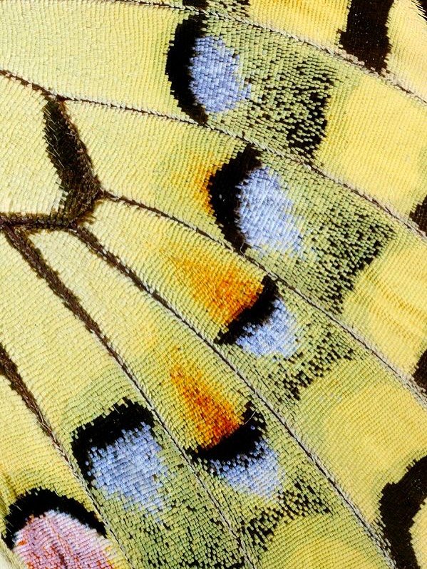 Thumbnail of www-instagram-com-p-dpqugpidfwc 4