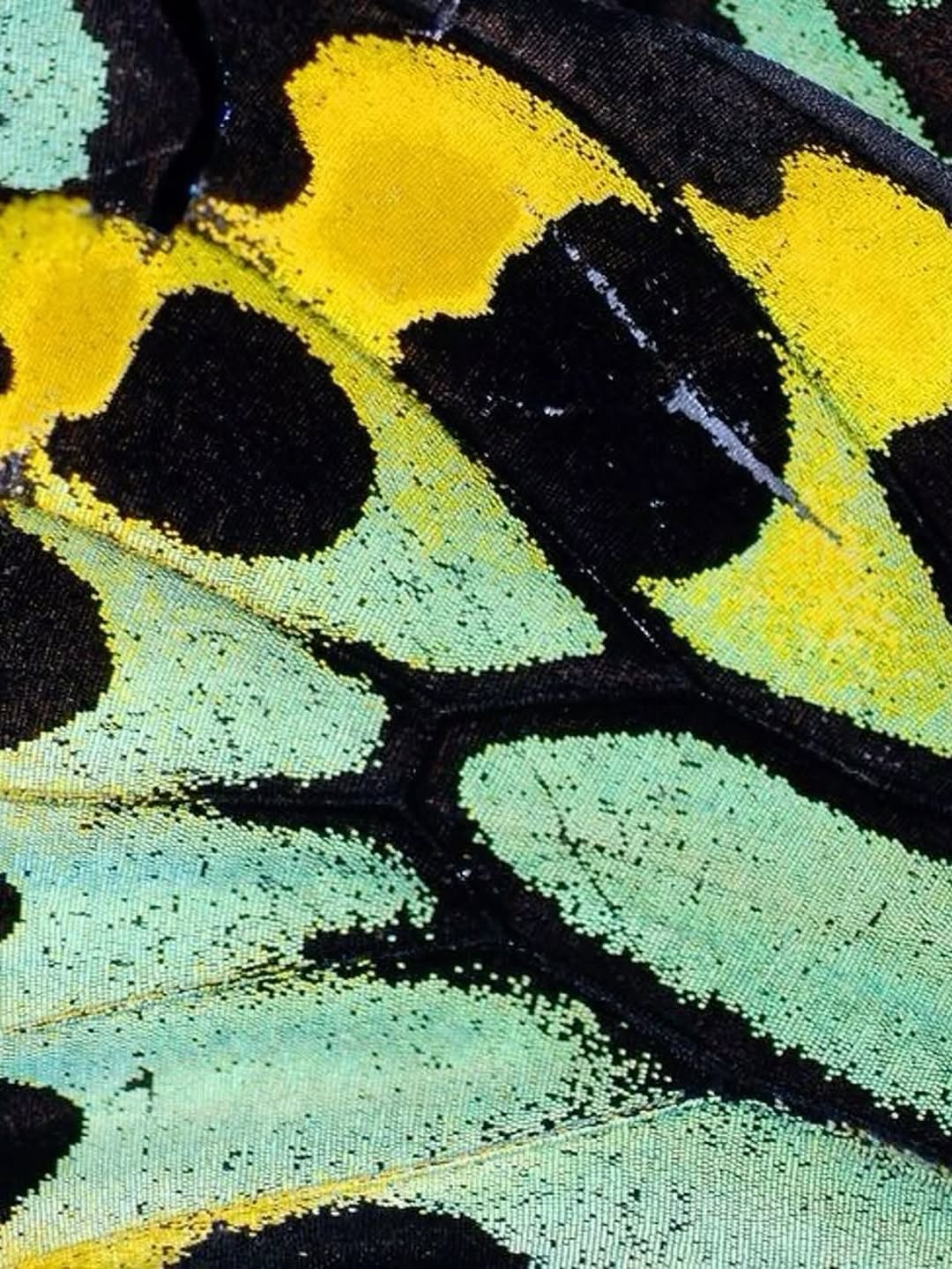 Thumbnail of www-instagram-com-p-dpqugpidfwc 5