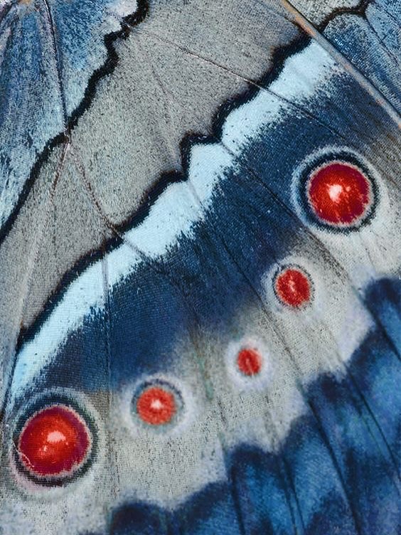 Thumbnail of www-instagram-com-p-dpqugpidfwc 6