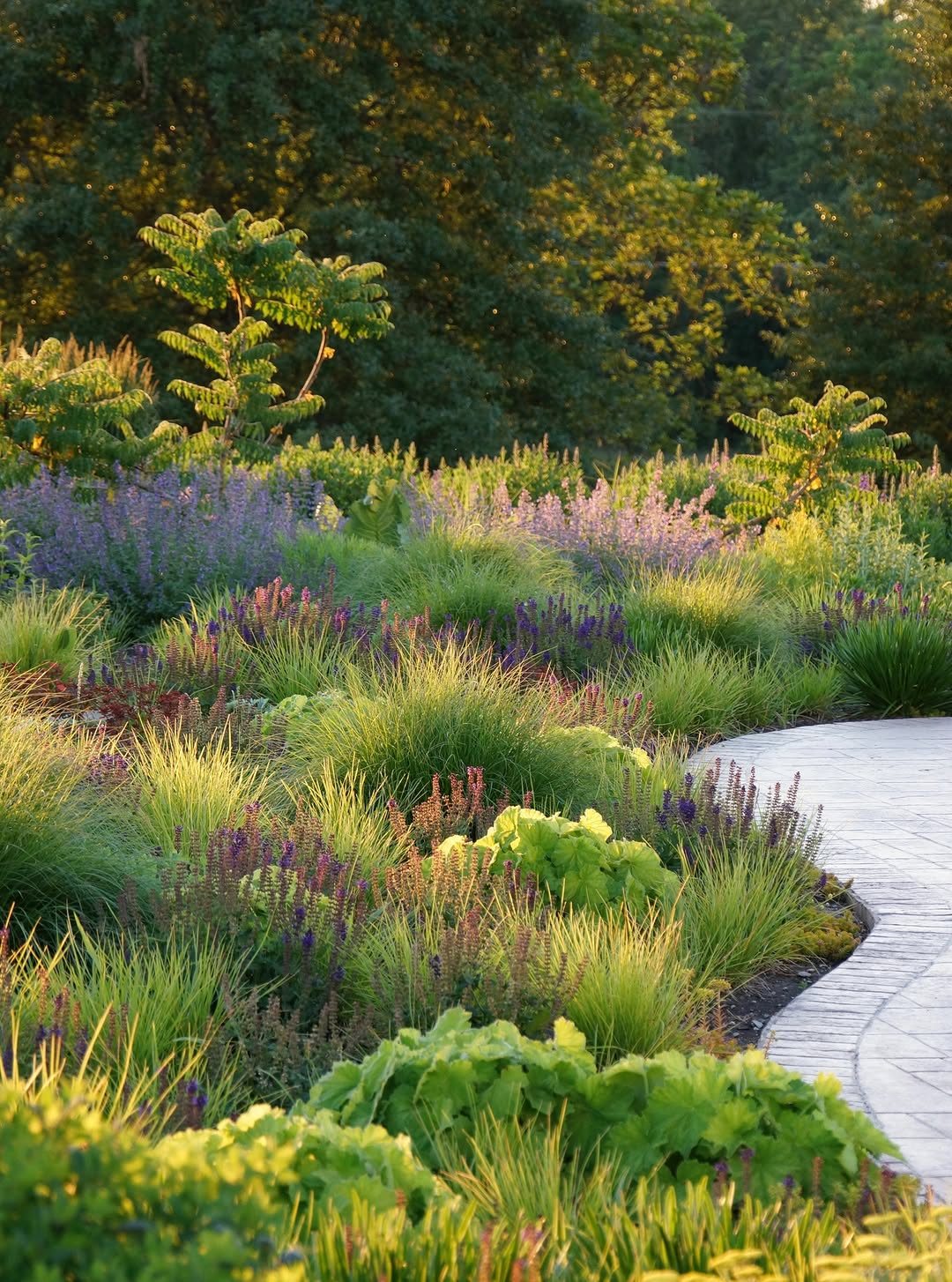 Thumbnail of www-instagram-com-p-dtn6irjaf4x 0