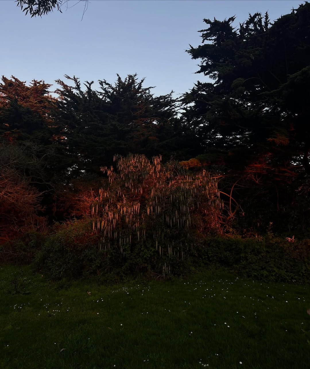 Thumbnail of www-instagram-com-p-duodlbpfcpn-img-index-1 12