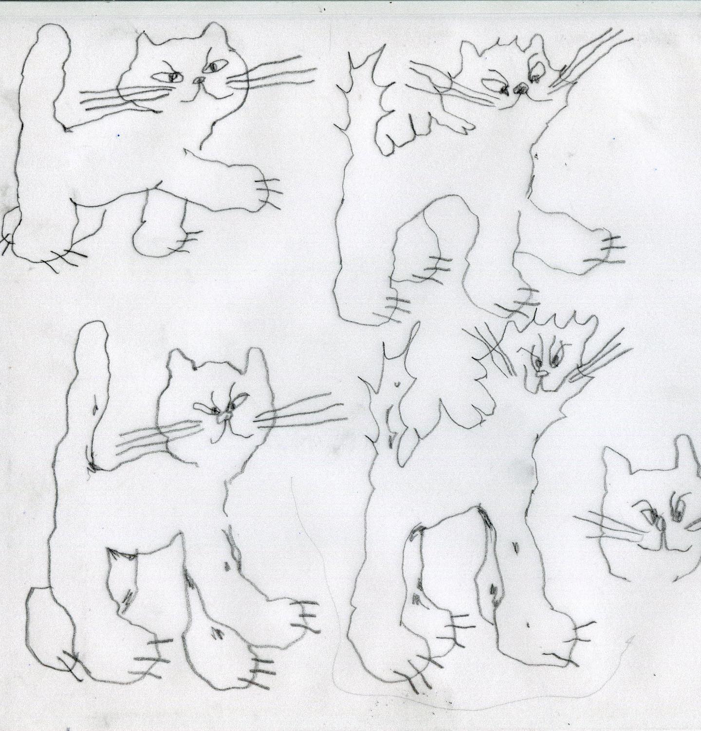 Thumbnail of p-clbmyqtjb0q-1bdca3c4cdfd4838 0