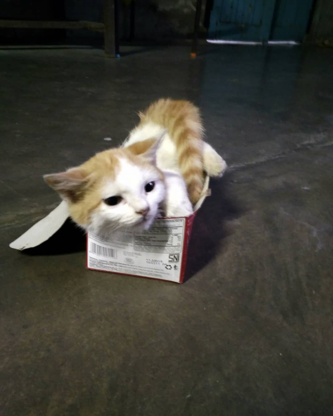 Thumbnail of p-bokeugva7g-1daf3c032f834bd7 0