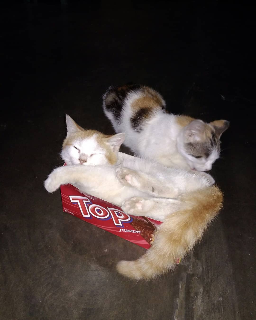 Thumbnail of p-bokeugva7g-1daf3c032f834bd7 3