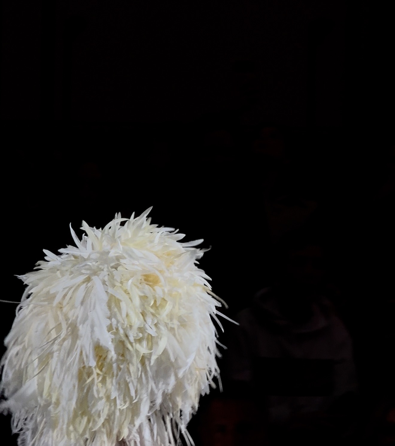 Thumbnail of p-dpesh8kjx0c-1eab6eda577449d2 0