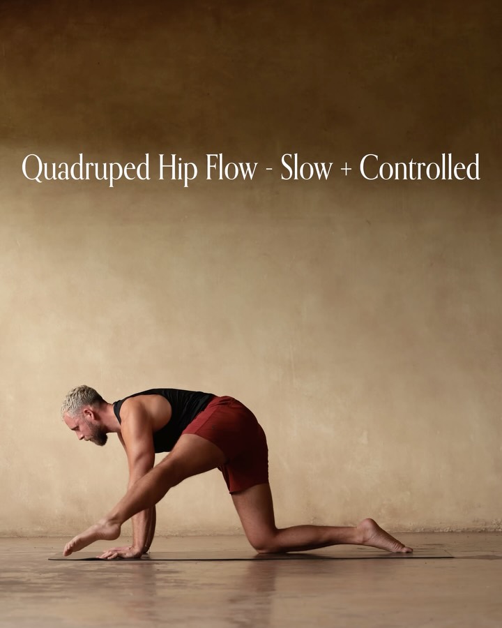 Thumbnail of p-ds3dagck8b7-21c0405e030c48c4 4